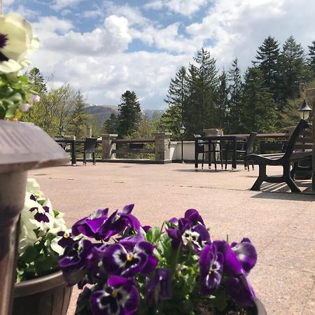 Vila Terase Otel Sinaia Dış mekan fotoğraf