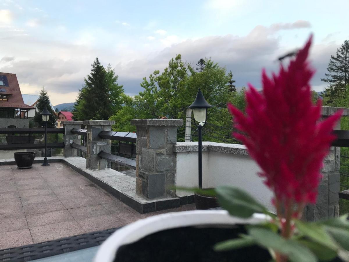 Vila Terase Otel Sinaia Dış mekan fotoğraf