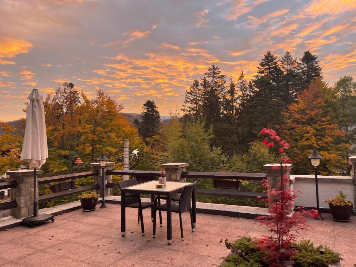 Vila Terase Otel Sinaia Dış mekan fotoğraf