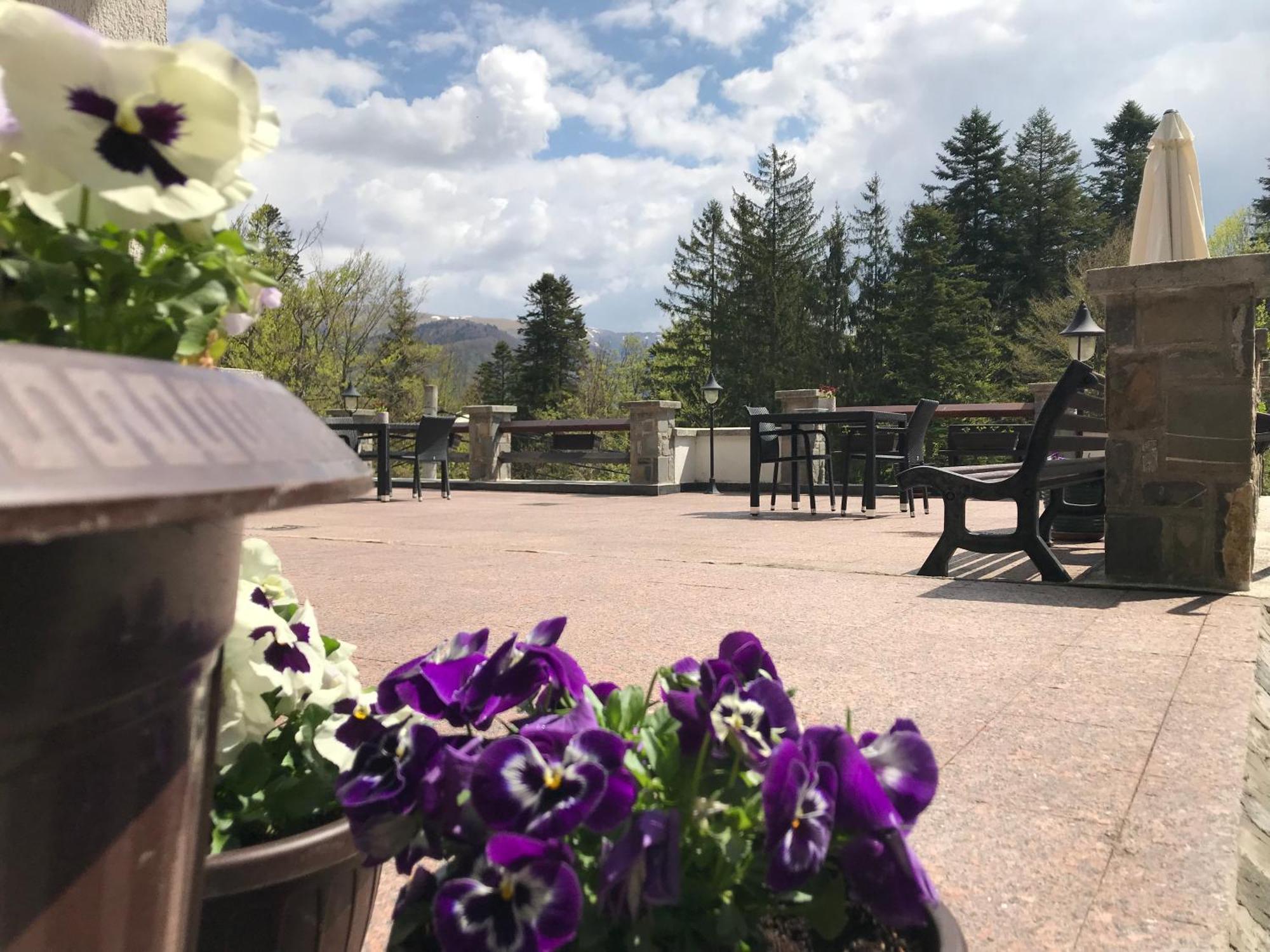Vila Terase Otel Sinaia Dış mekan fotoğraf