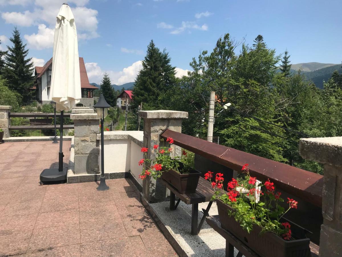 Vila Terase Otel Sinaia Dış mekan fotoğraf